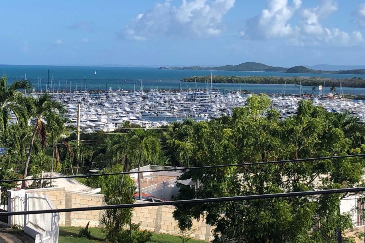 Peaceful Puerto Rico Paradise With Views And Balcony ฟาจาร์โด ภายนอก รูปภาพ